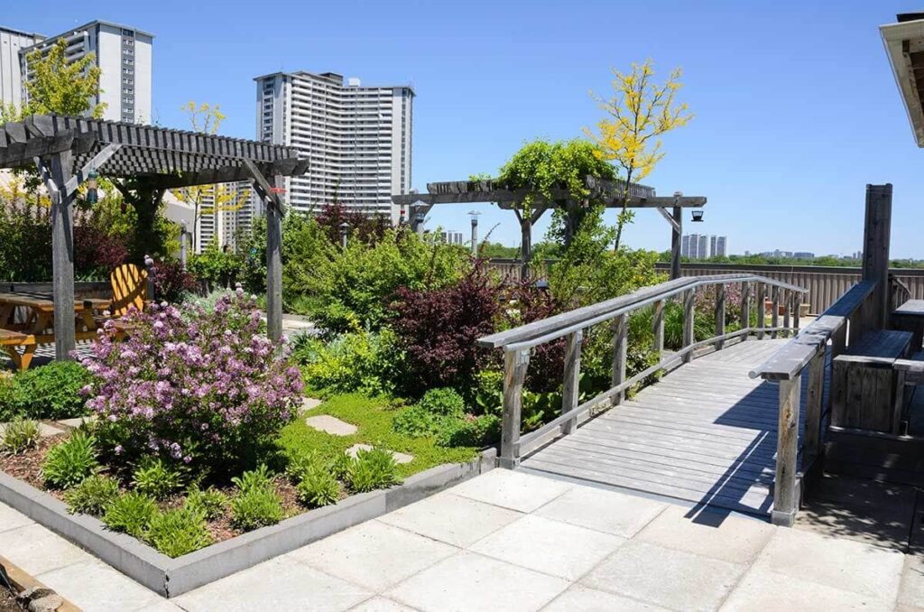 Step-by-Step Guide to Building a Roof Garden